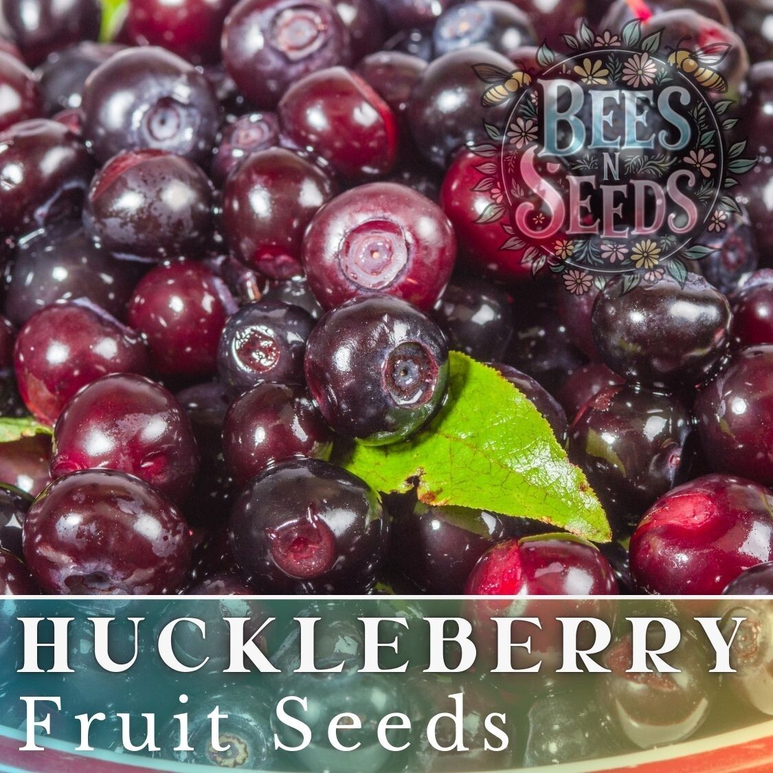 Woodland Huckleberry Seeds 125, 300 or 500 Seeds Flower, Flower Seeds, Non GMO