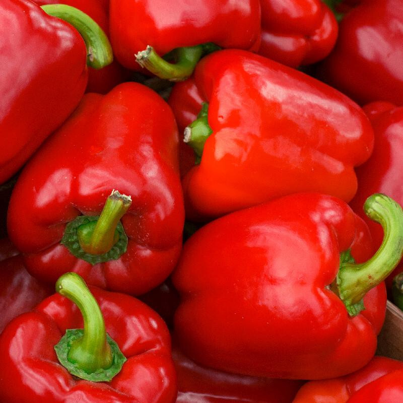 Big Red Sweet Bell Pepper, NON-GMO, Heirloom, FREE SHIPPING – Mai’s Family