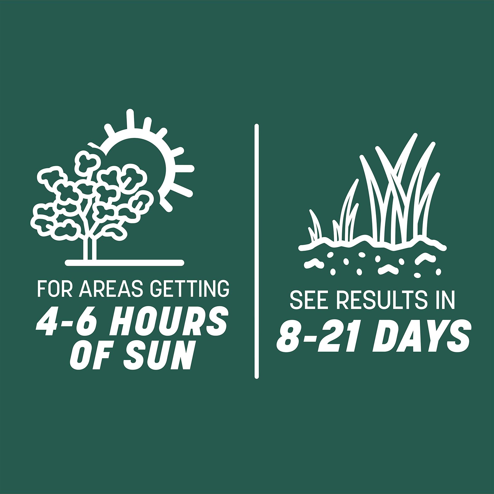 Pennington Smart Seed Sun And Shade Tall Fescue Grass Seed Mix For Southern