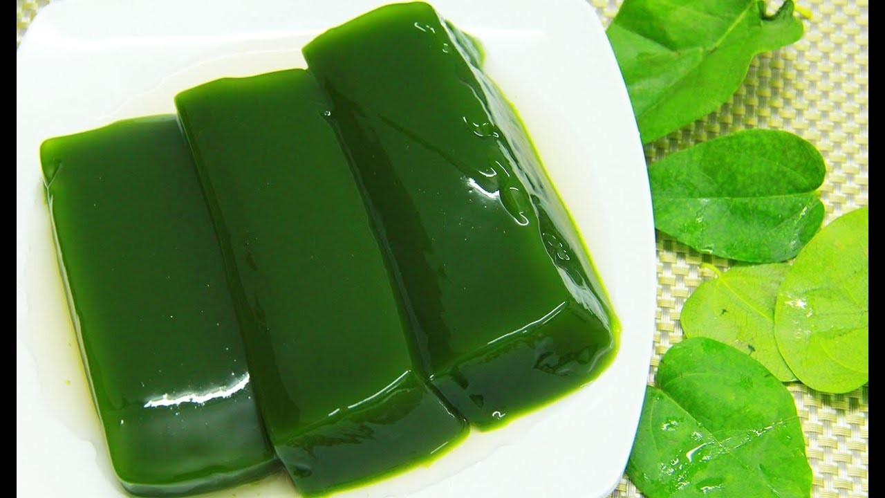 Sương Sâm Vine-Green Grass Jelly Plant 5”-10” Rare Tropical Herbal Vine Organic