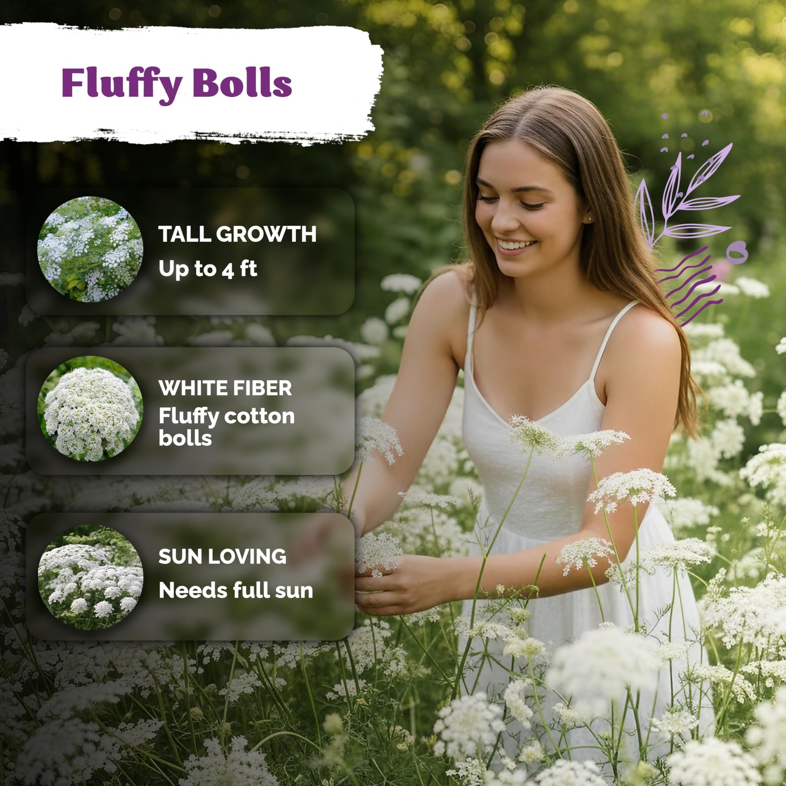 KVITER 1000 White Queen Anne’s Lace Seeds (Daucus Carota)