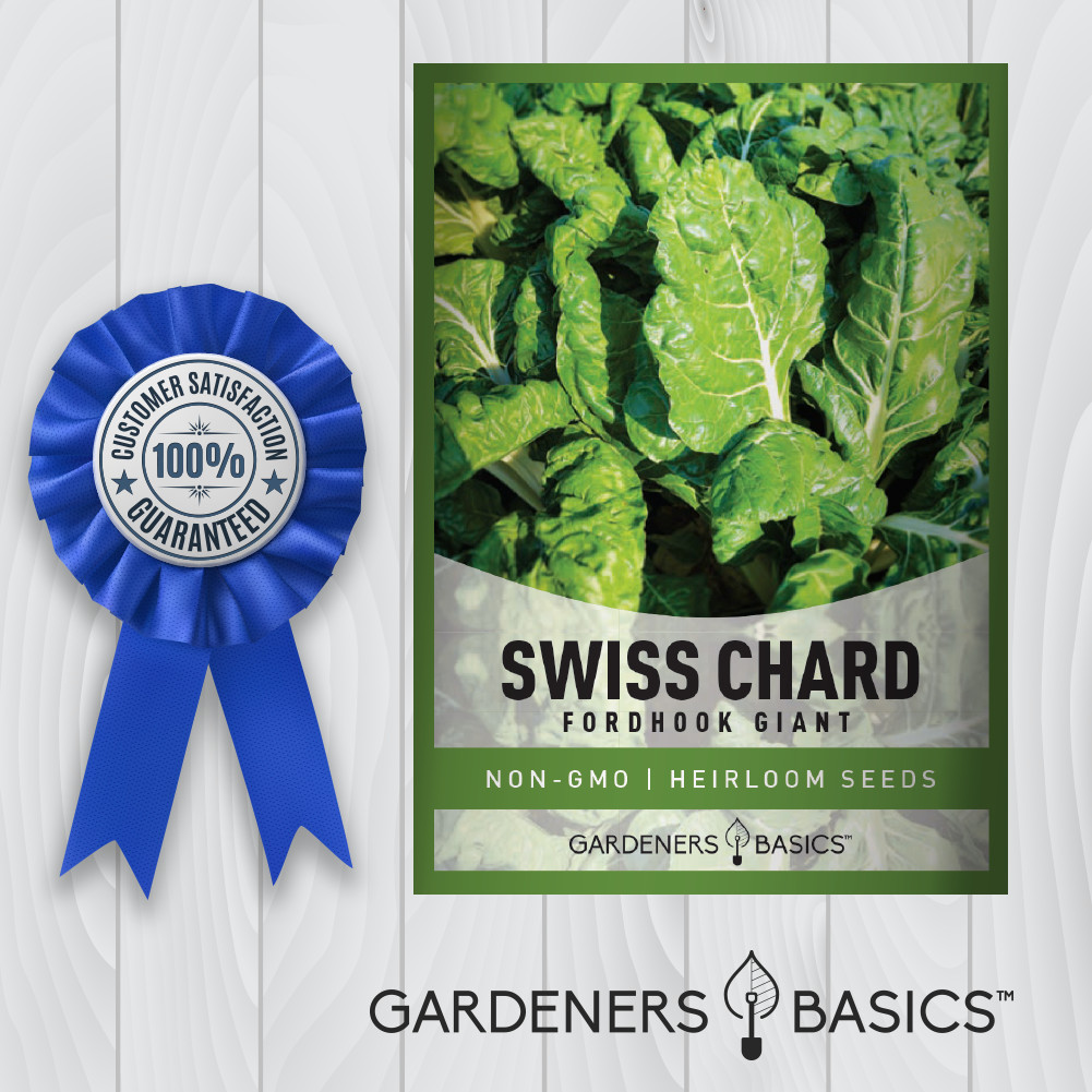 Fordhook Giant Swiss Chard Seeds