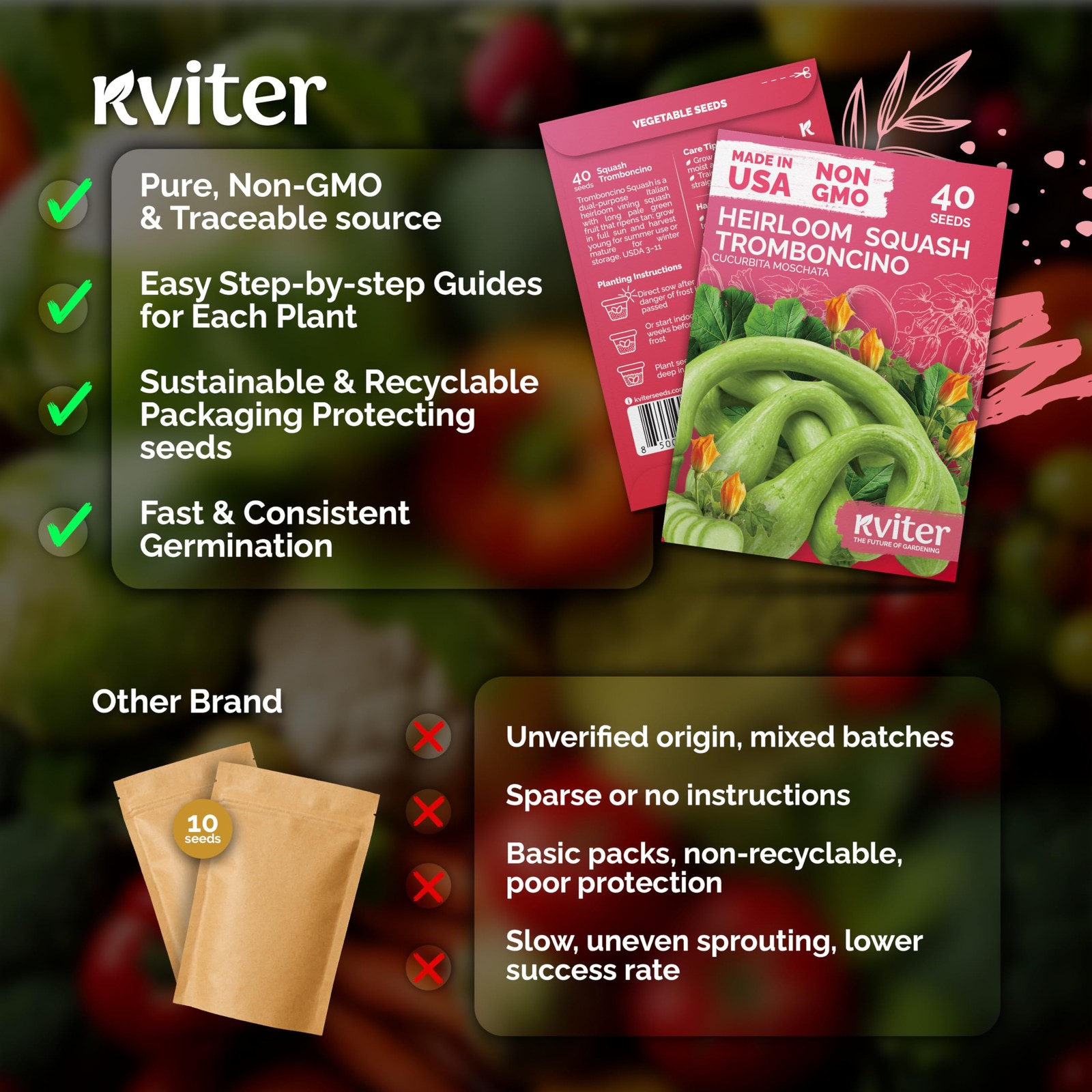 KVITER 40 Tromboncino Squash Seeds (Cucurbita Moschata)