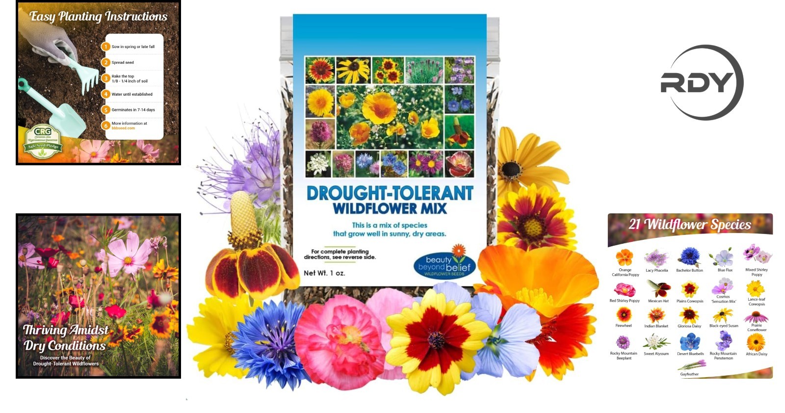 1oz Drought Resistant Wildflower Seeds – Perfect for Pollinator-Friendly Gardens