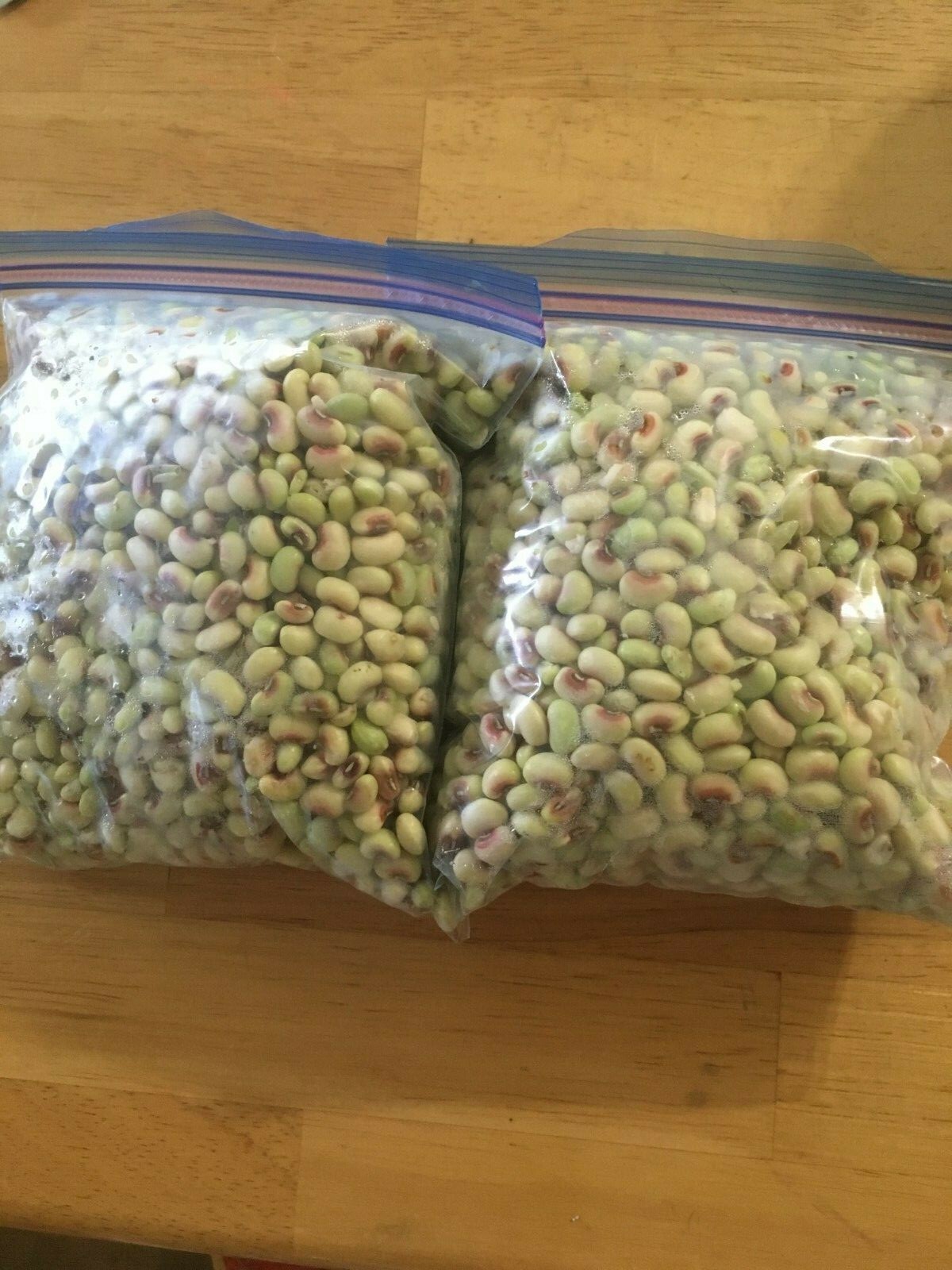 5 lb Mississippi Pinkeye 2 Purple Hull Pea Cowpea Germ: 80% Benefits St. Jude