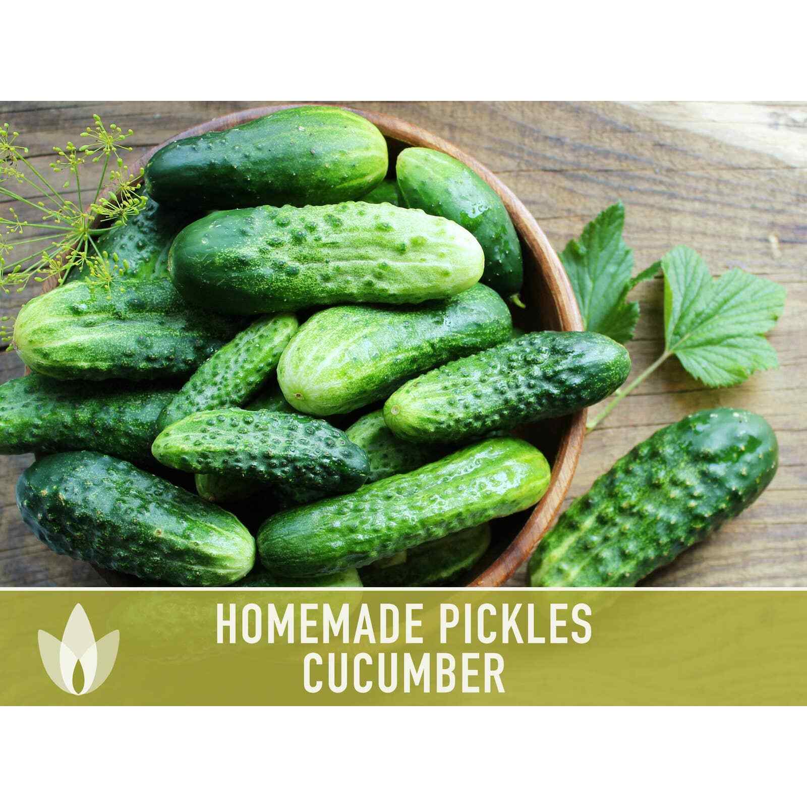 Homemade Pickles Cucumber Heirloom Seeds – Open Pollinated, Non-GMO