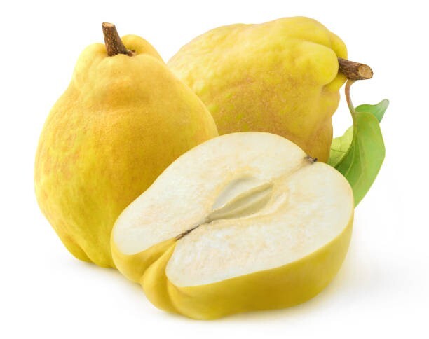 10 Common Quince Seeds
