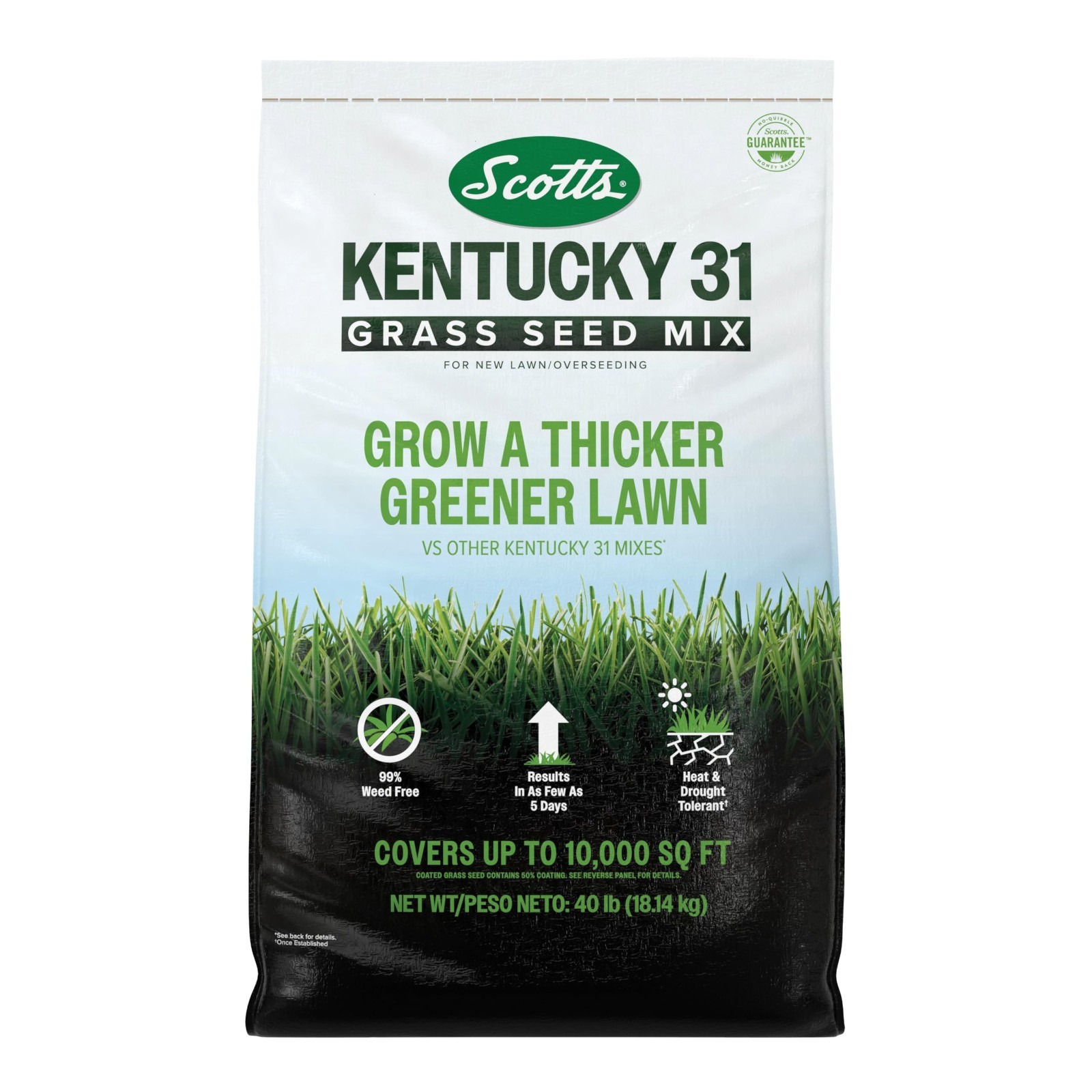 Premium Kentucky 31 Grass Seed Mix – Covers 10,000 sq ft, 40 lb for Lush Lawn