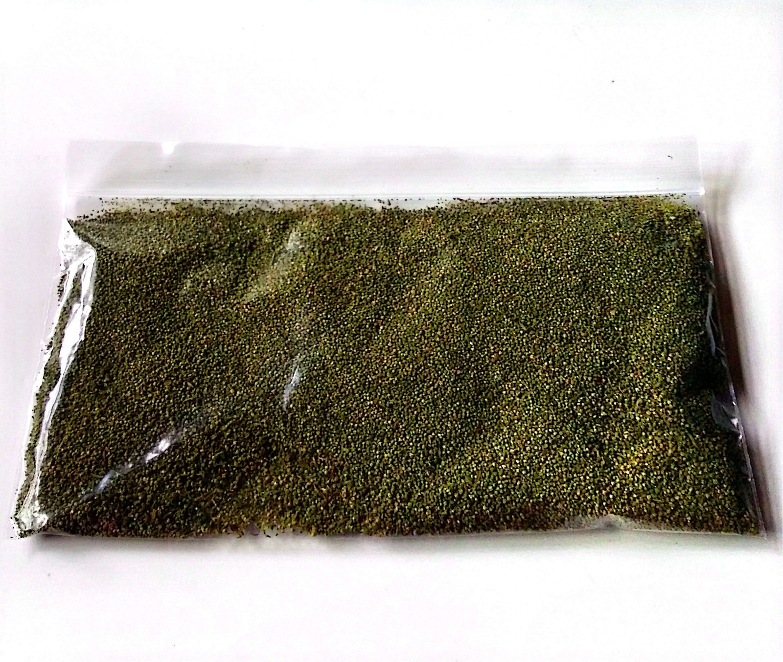 (1 Oz.) Bulk Organic Epazote Seeds