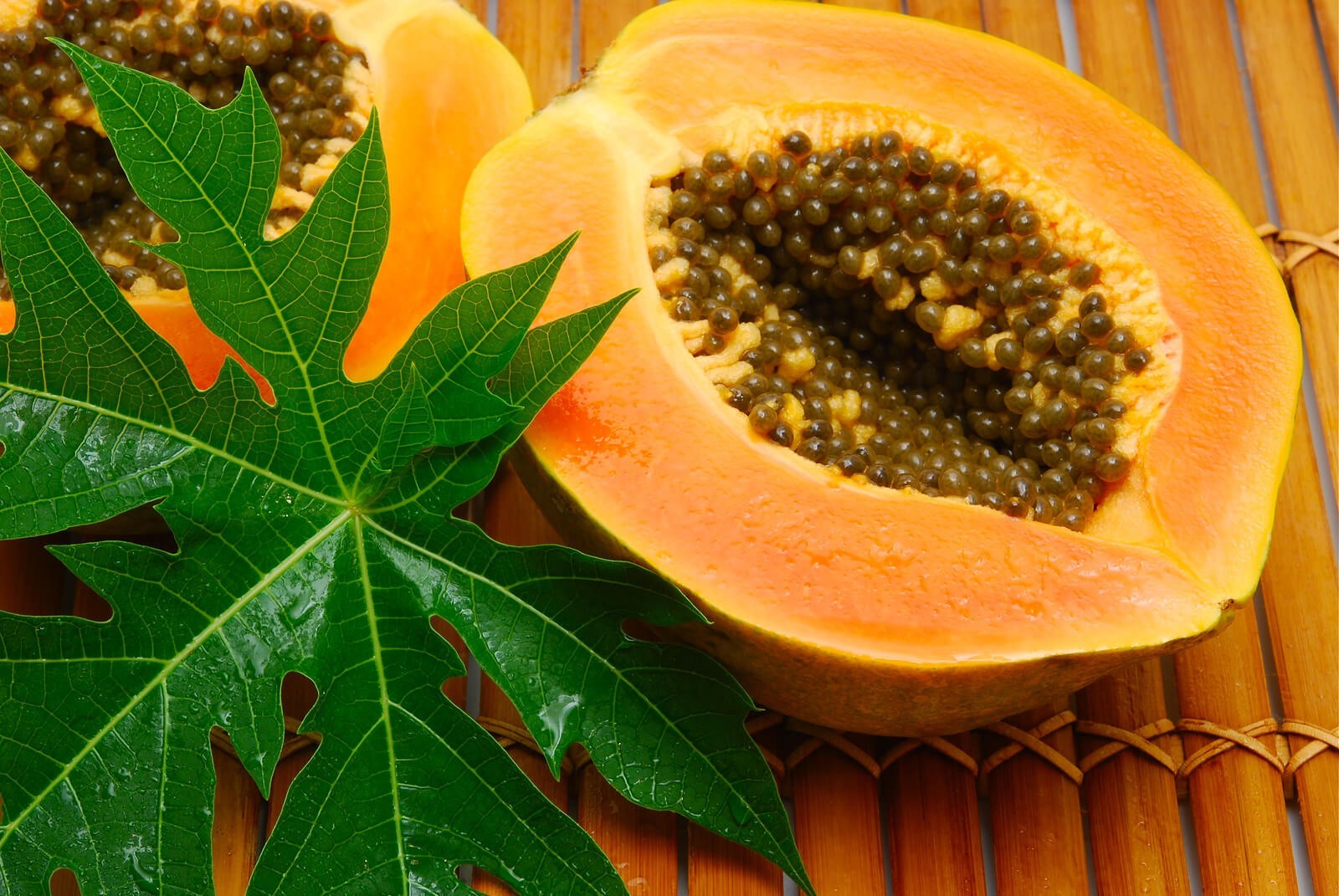Hawaiian Dwarf Papaya Tree 5”-10” Live Tropical Fruit Plant | Ultra Rare Organic