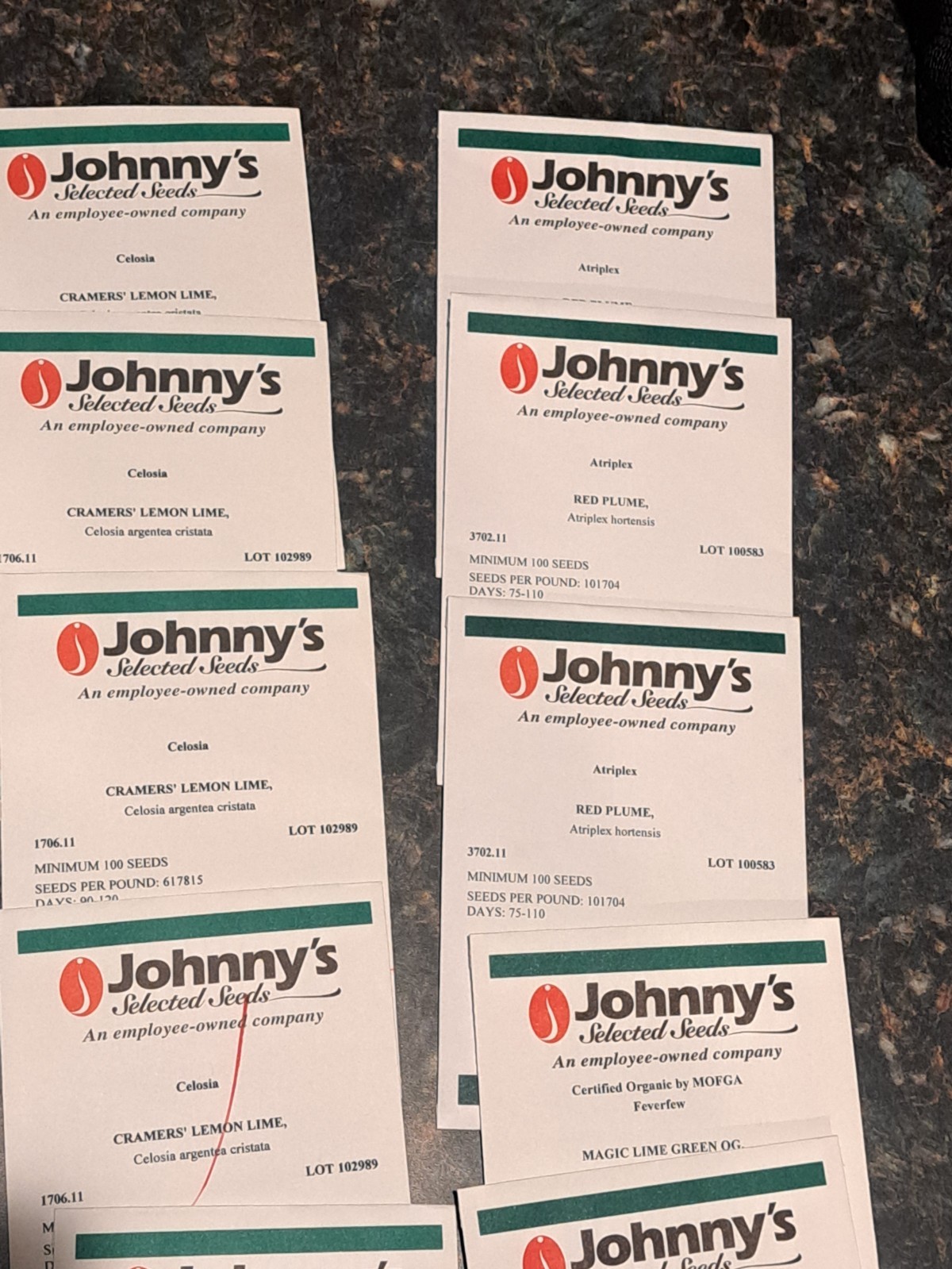 LOT OF 30 Garden Packets Lisianthus Stock Celosia Atiplex AND More