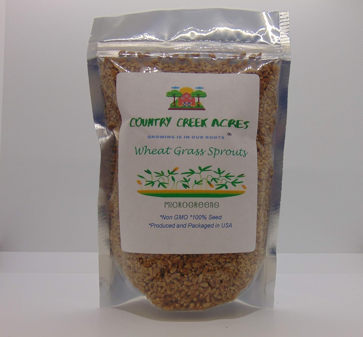 6 OZ Non-GMO Wheatgrass & Microgreens Seeds for Indoor & Outdoor Growing