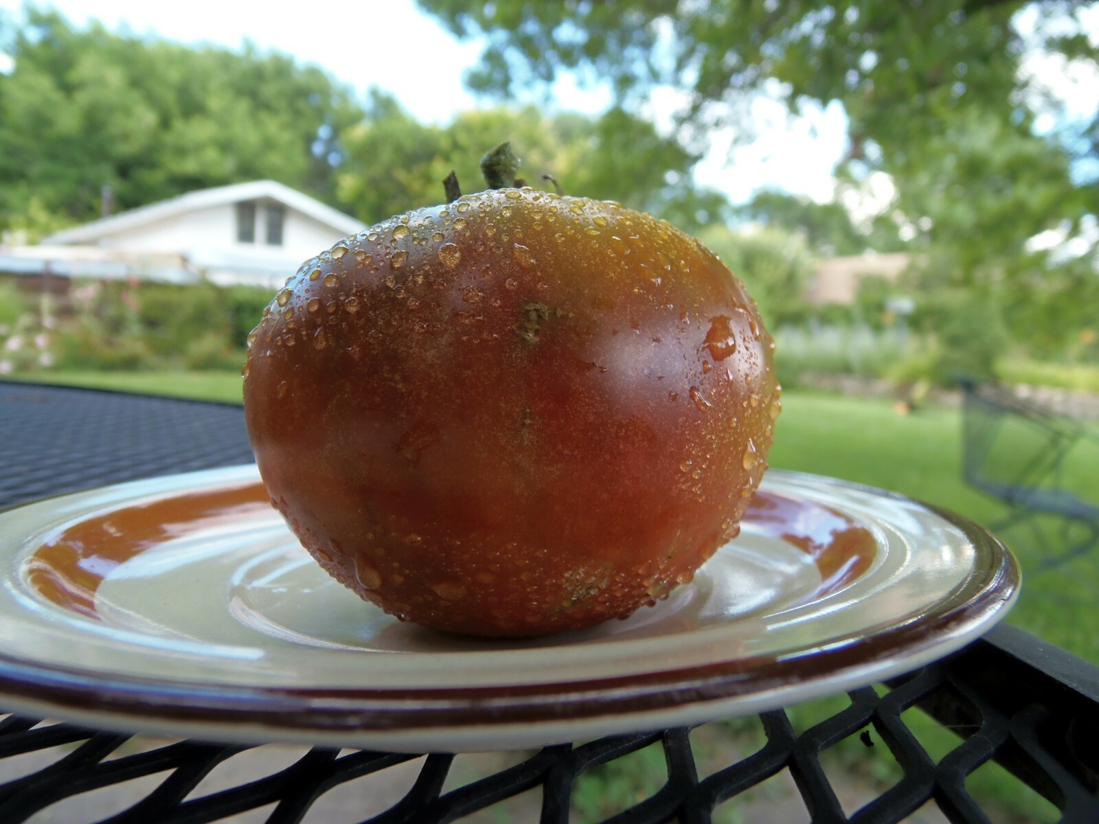 Black From Tula – bold black tomato