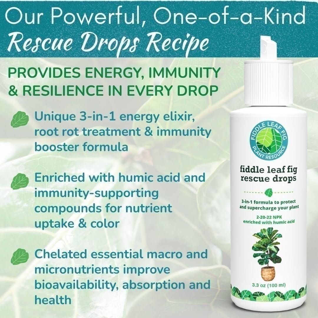 Fiddle Leaf Fig Rescue Drops – 3-in-1 Fertilizer, Root & Immunity Boost (100ml)