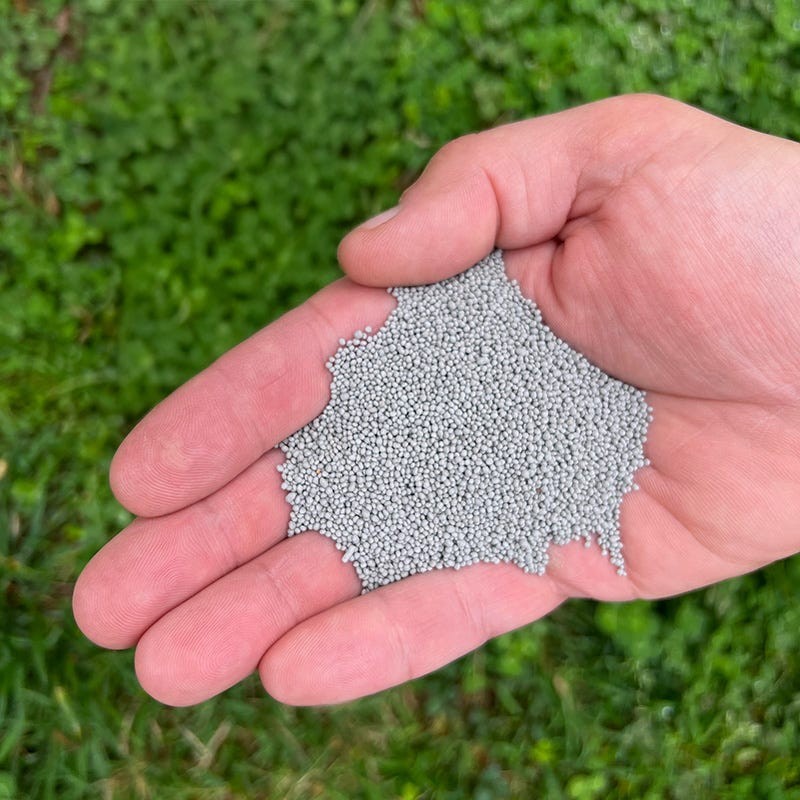 5,000 Miniature Clover Seeds