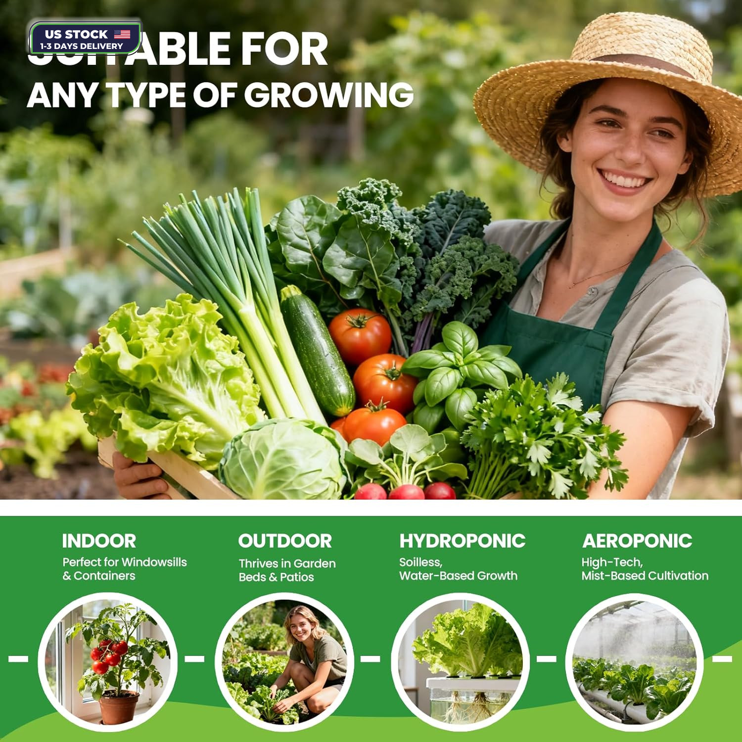 30 Heirloom Seeds Variety Pack – 18500+ Non-GMO Seeds for Planting Vegetables, H