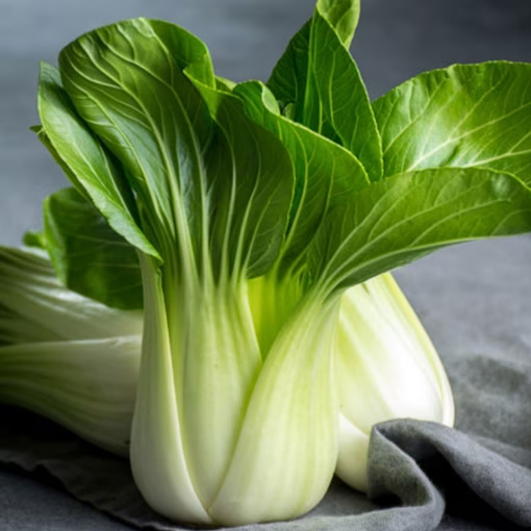 Fresh Canton Pak Choi Bak Choi Seeds | Heirloom Non-GMO | Asian Vegetable Seeds
