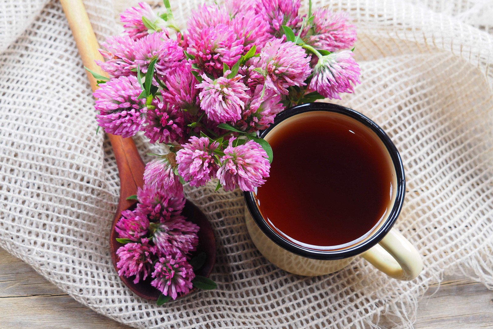 1500 RED CLOVER Monarchs Trifolium Pratense Rose Mauve Flower Ground Cover Seeds