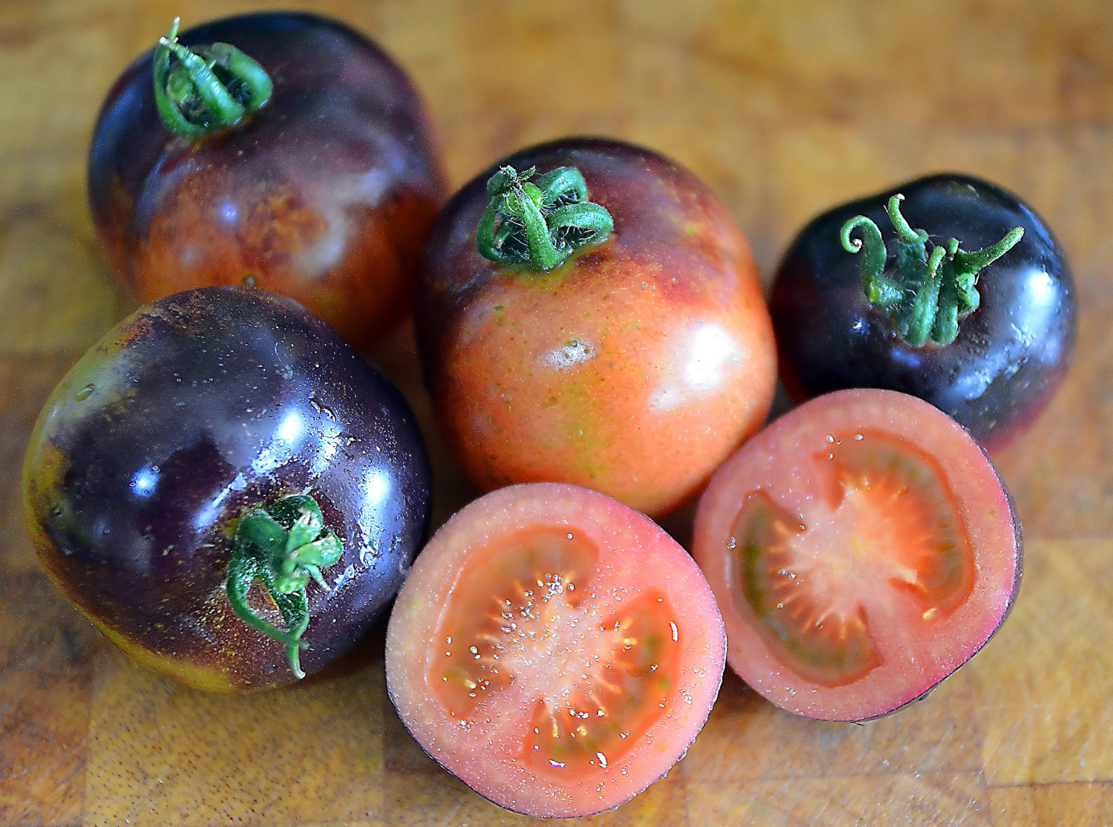 0.1 gram Indigo Rose Tomato seed. Selectively bred. World’s first blue tomato!