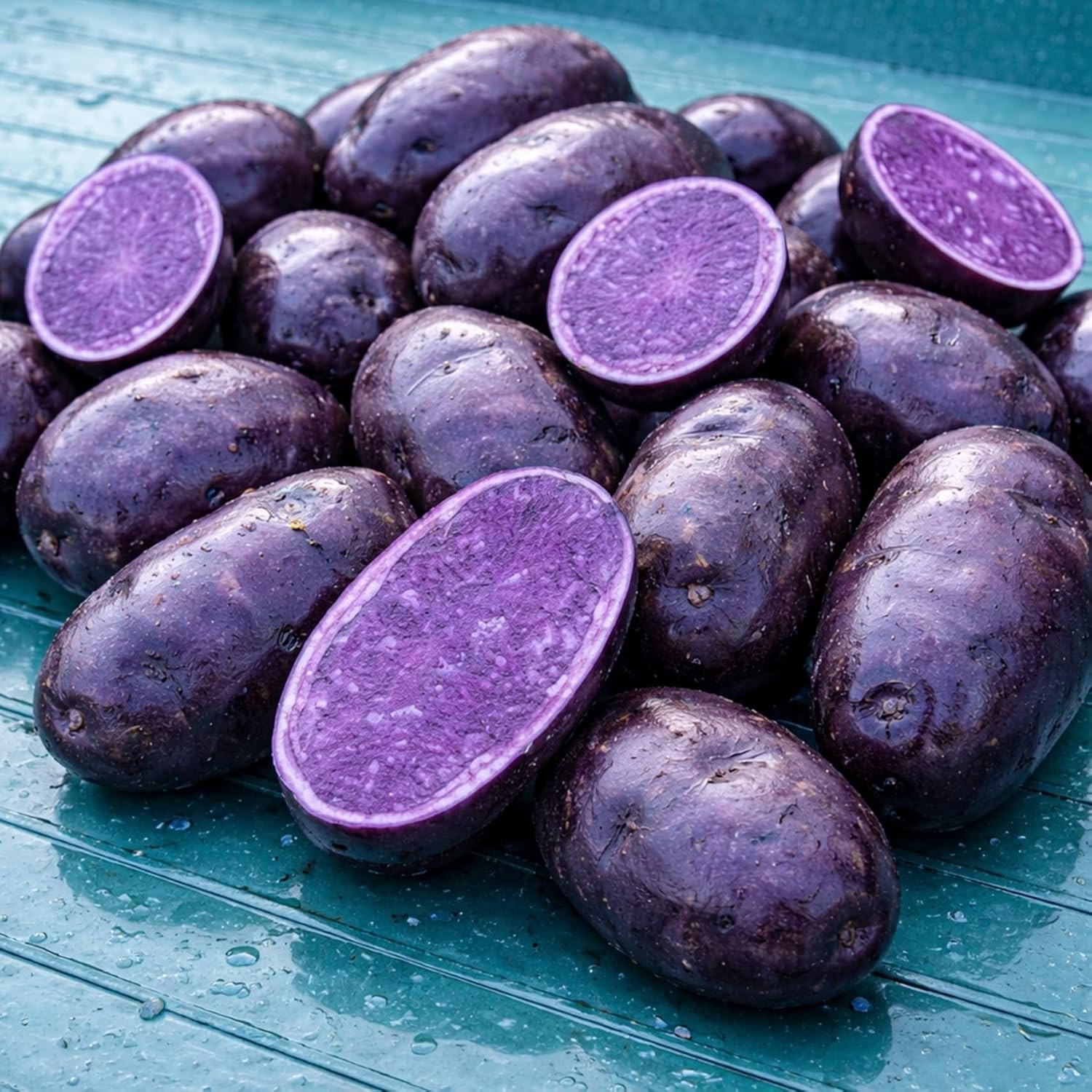 Purple Majesty Seed Potatos for Planting – Garden (10 Pounds)
