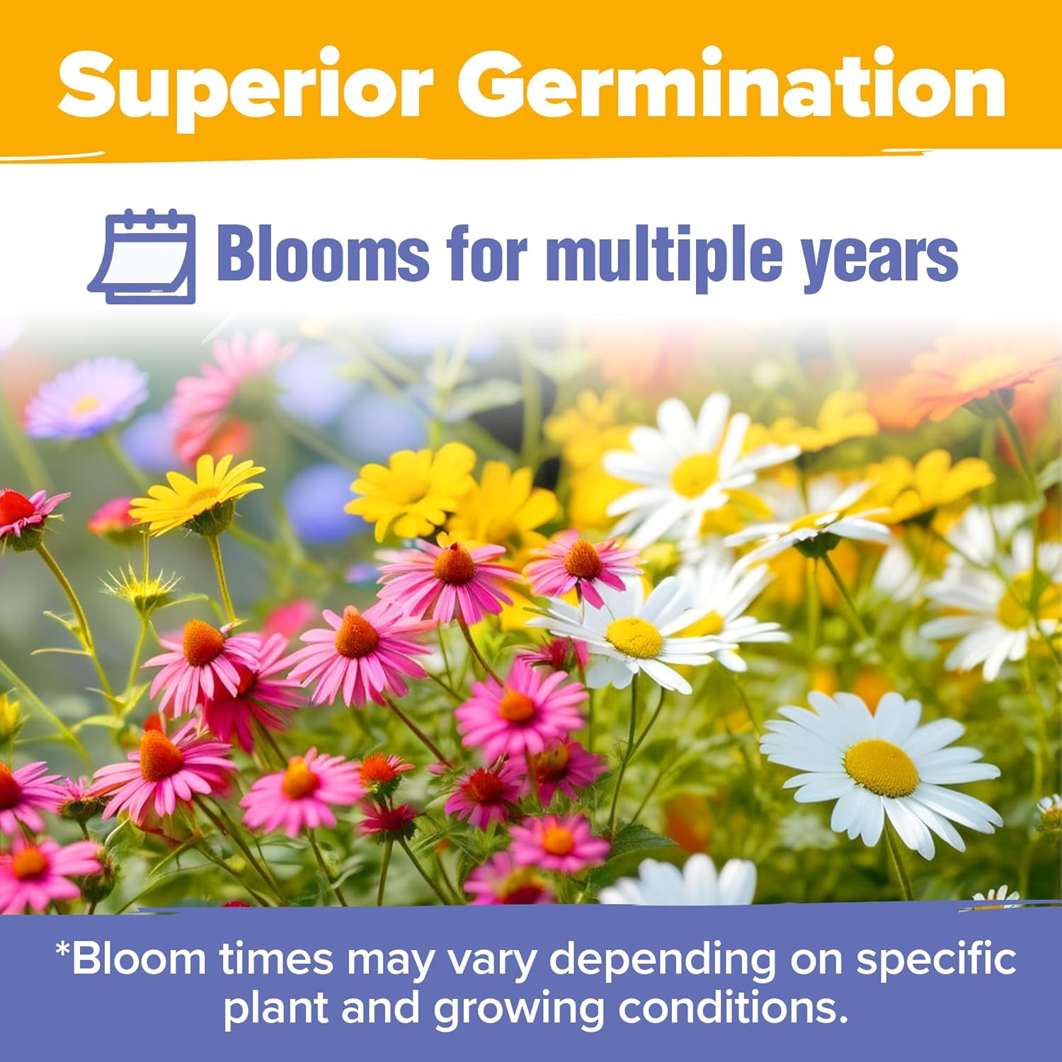 Bulk Wildflower Seeds Mix – 63,200+ Non-GMO Perennial Butterfly & Pollinator