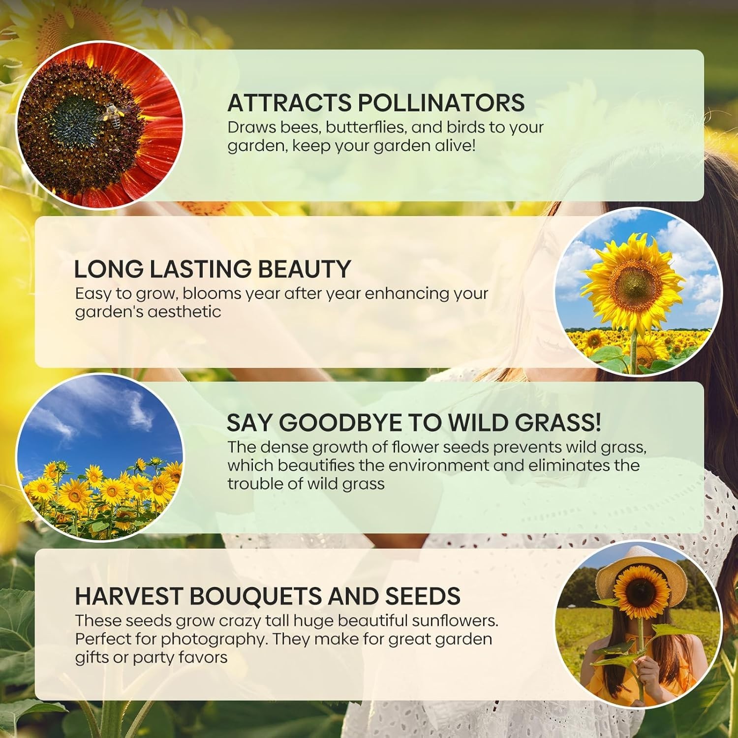 Sunflower Seeds for Planting, 15+ Varieties, 1 Oz, 300+ Mixed Seeds to Plant …