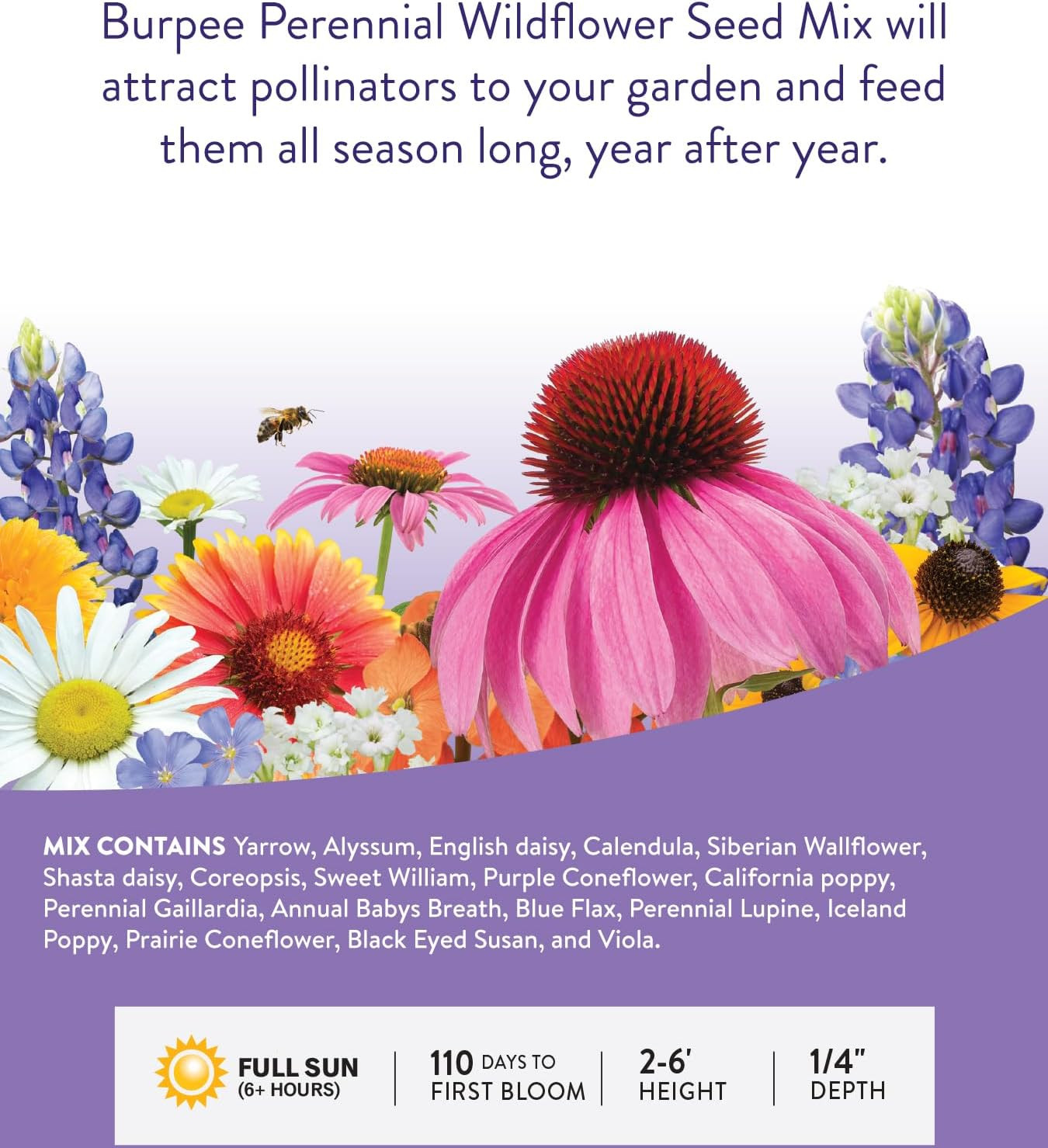 Burpee Wildflower 50,000 Bulk,18 Varieties of Flower Seeds Pollinator Garden