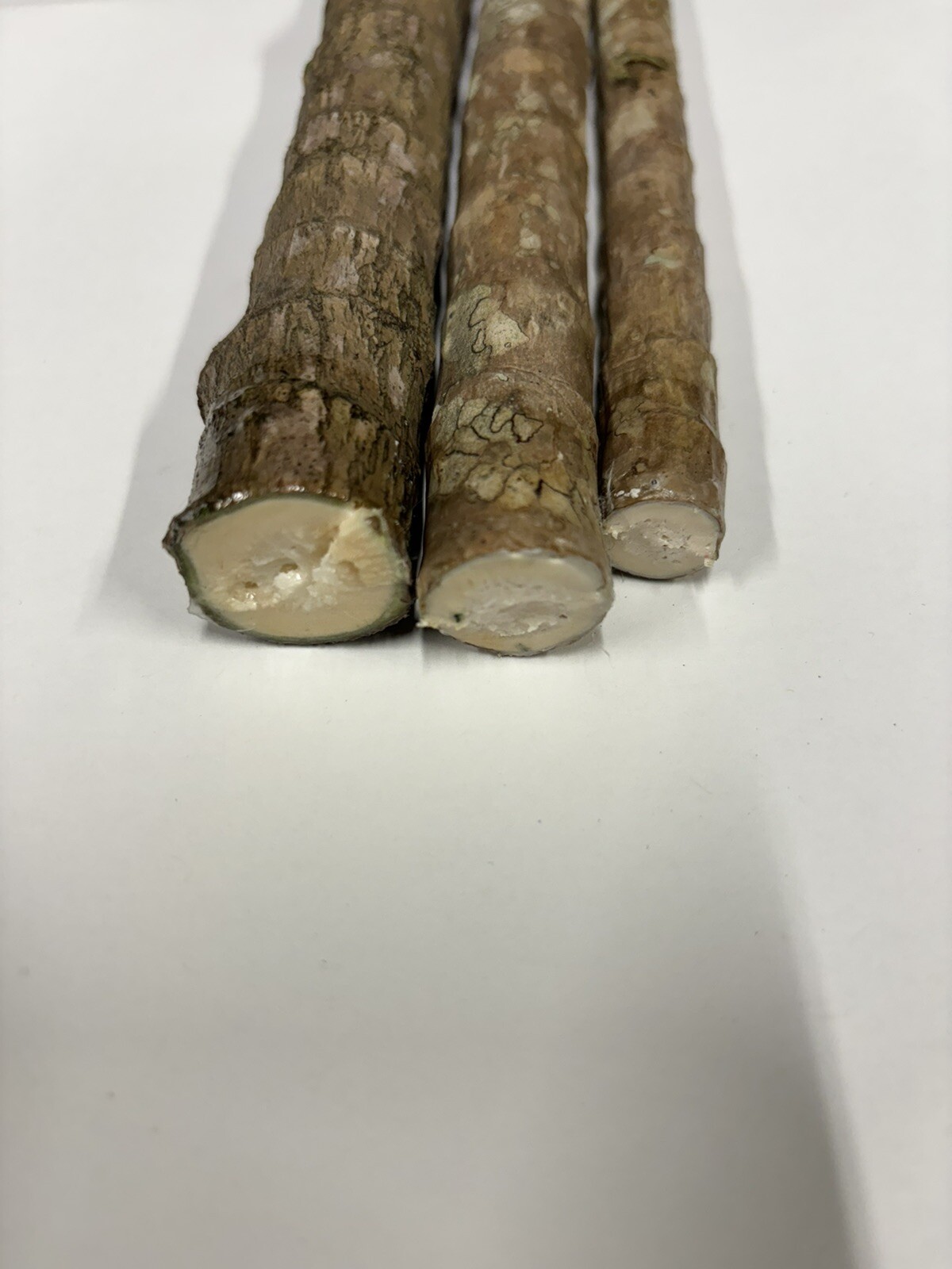 Hawaiian Green/Red Hybrid Ti Leaf Fresh Cuttings 6″ Starters 6 Logs