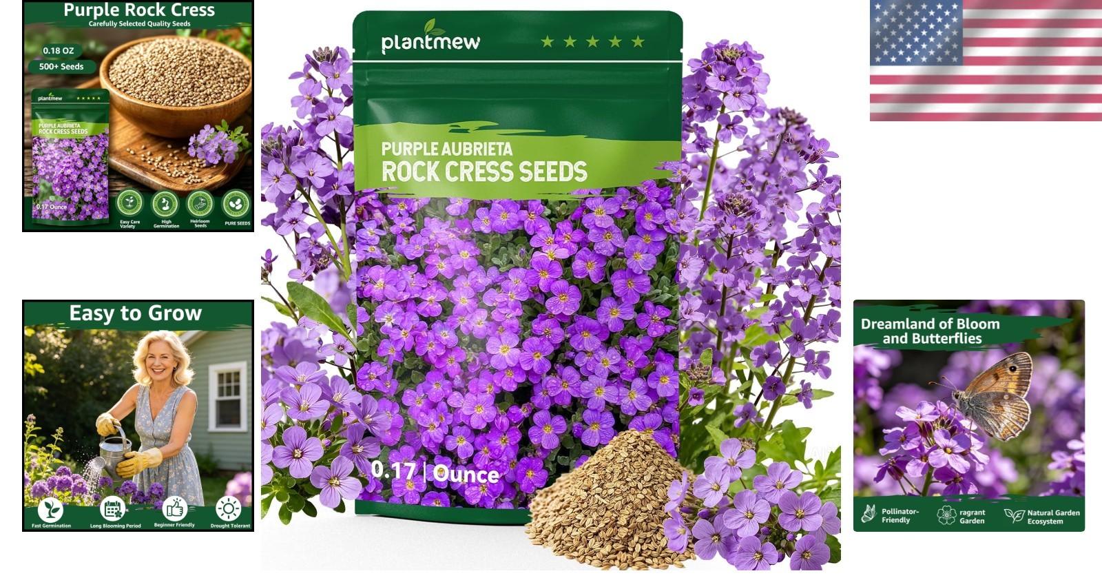 Perennial Ground Cover Flower Seeds: 800+ Purple Aubrieta for Pollinator Gardens