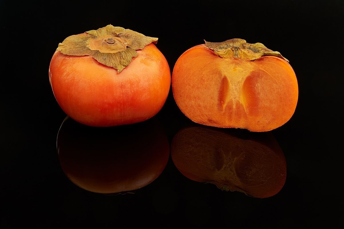 SUPER SWEET RARE FUYU JAPANESE PERSIMMON – 3 cuttings for rooting or grafting