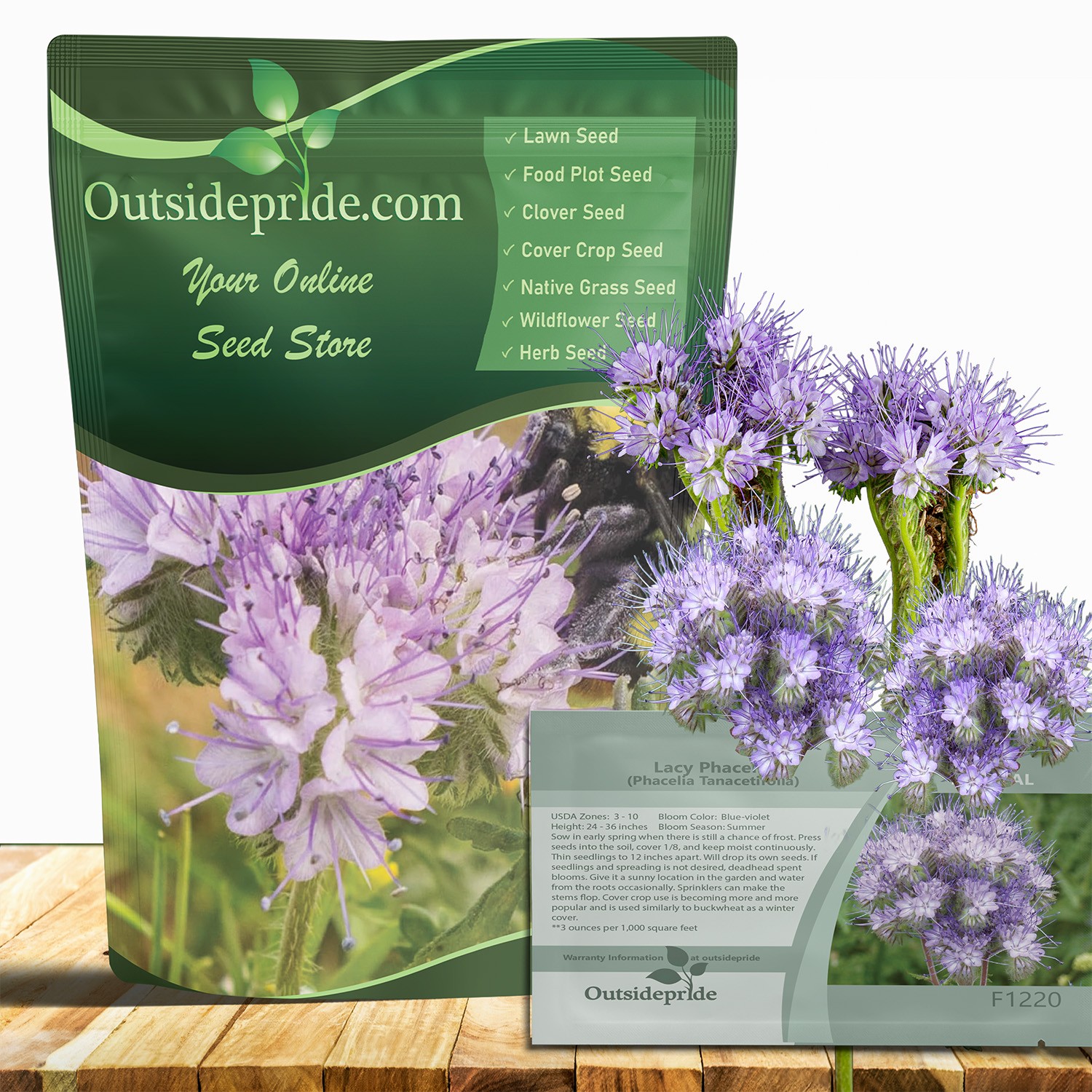 1 LB Lacy Phacelia Seeds – Phacelia Tanacetifolia Wildflower Seed