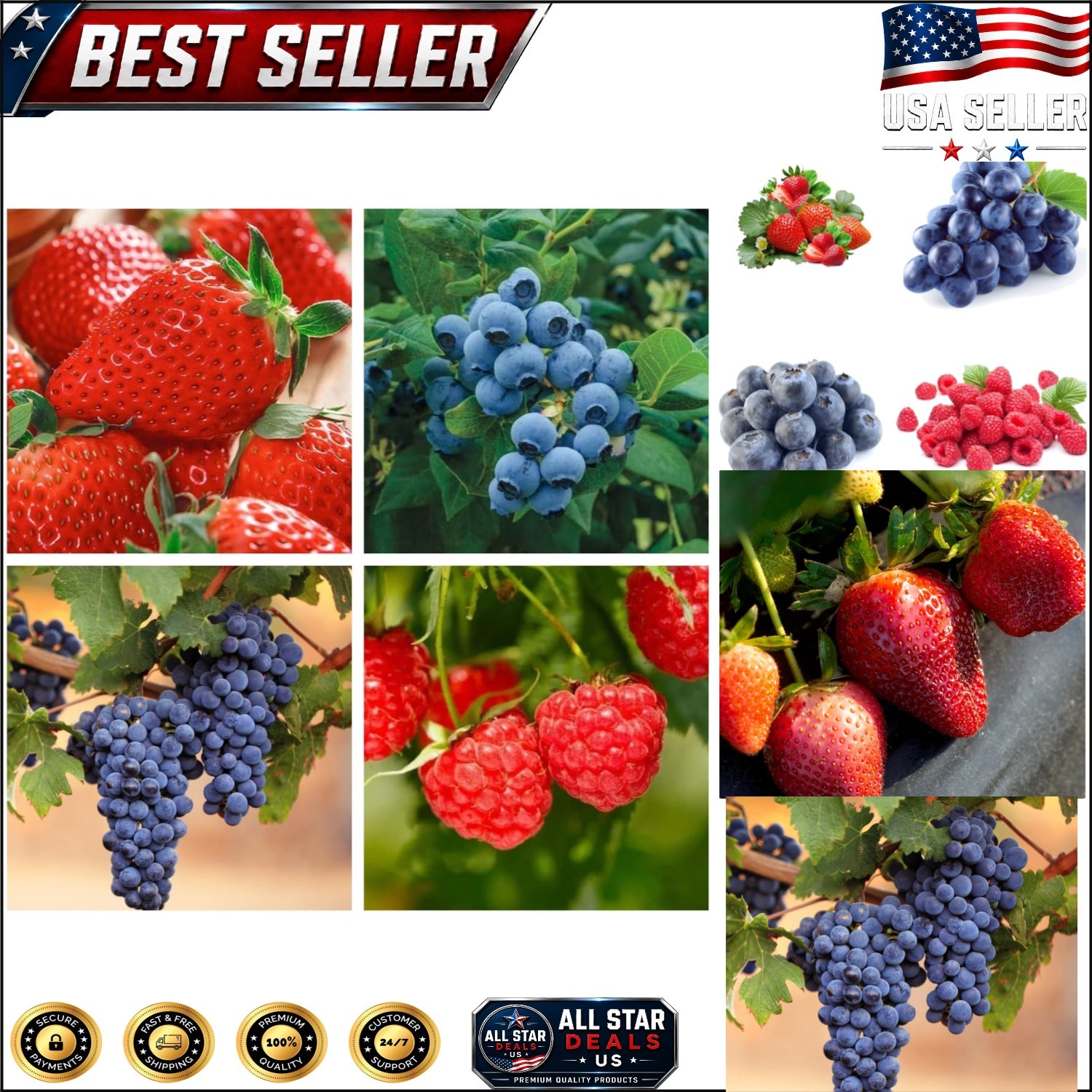 Attract Pollinators with 1000+ Easy-to-Grow Fruit Seeds – Perfect for Gardens