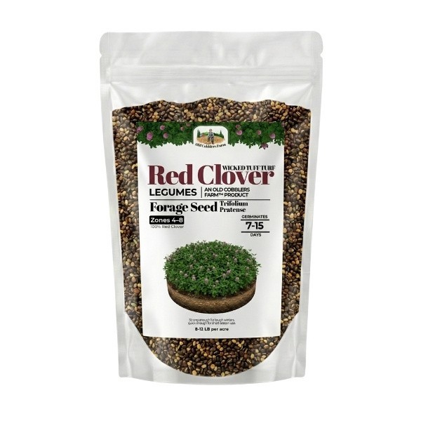 Old Cobblers Farm™ Wicked Tuff Turf Red Clover (Legumes) – Vibrant Cover Crop