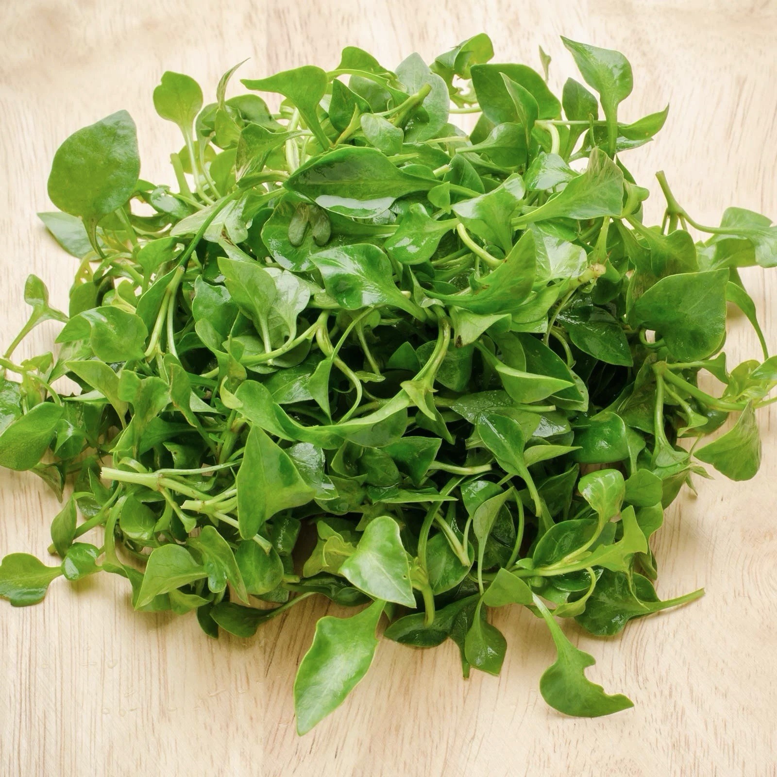 Organic Curled Cress Herb Seeds | 250 Seeds, Non-GMO, Heirloom USA Seller