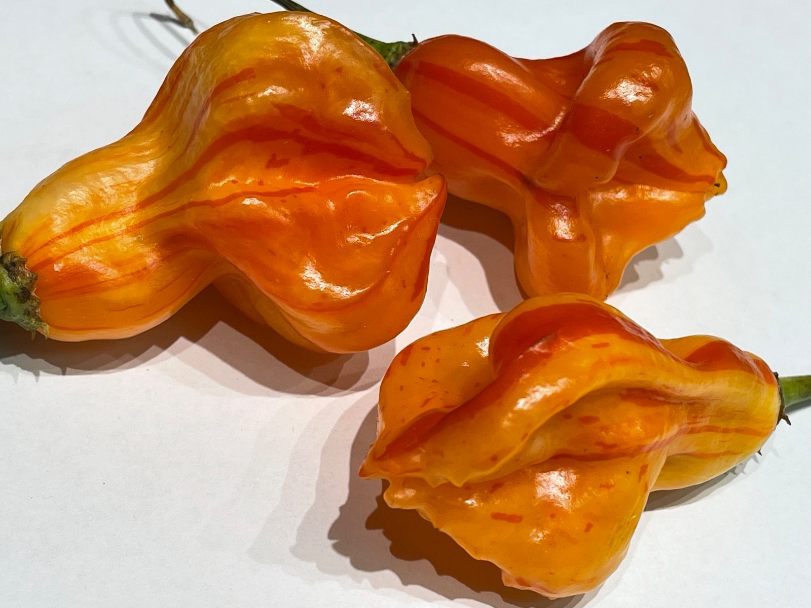 Golden Cayenne Pepper Seeds – 2025 Harvest – 25+ Seeds – Non-GMO