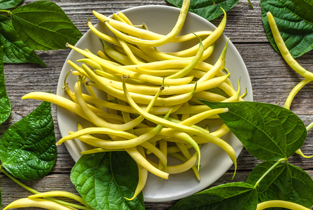 Kentucky Wonder Yellow Wax Bean Seeds (Pole Beans) | Butter Golden Seed For 2024
