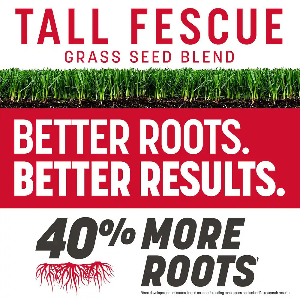 The Rebels 20 Lb. 5,000 Sq. Ft. Tall Fescue Grass Seed Blend Free Shipping