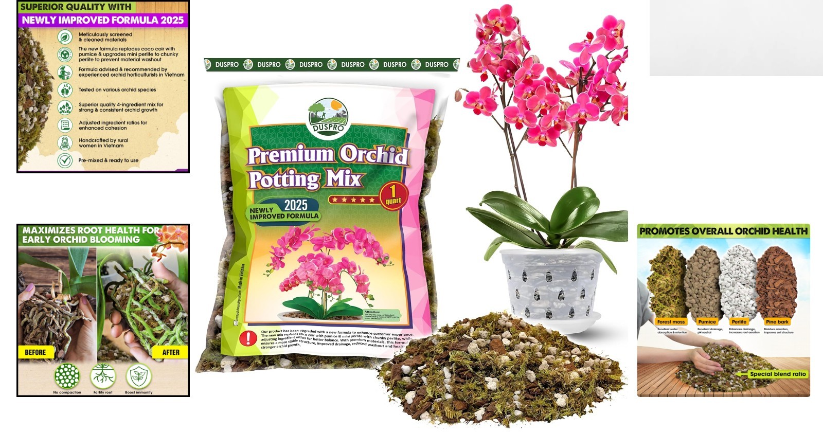 All-in-One 1 Quart Orchid Potting Mix: Forest Moss, Pumice & Efficient Drainage