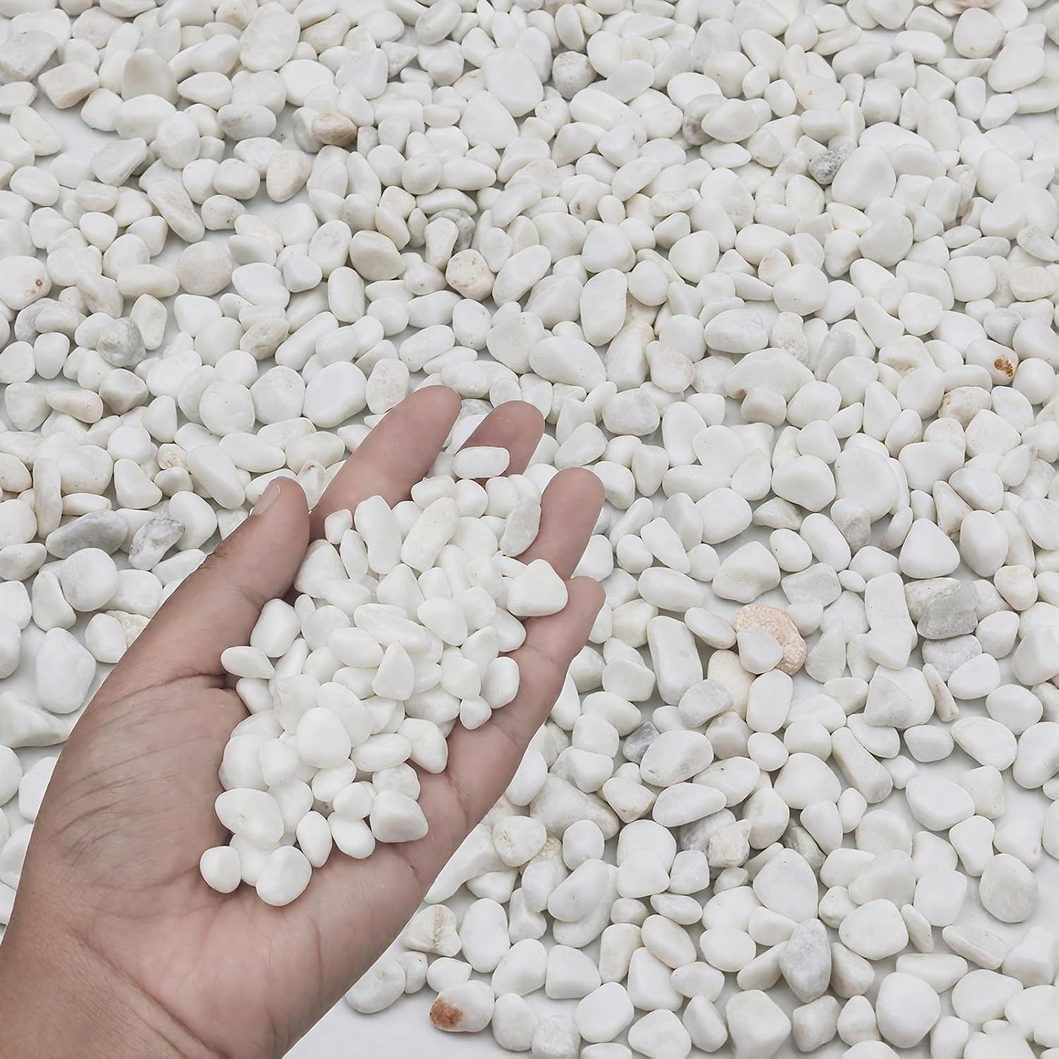6LB White Succulent & Cactus Gravel Pebbles – 1/4-3/8 Inch Natural Polished Rive