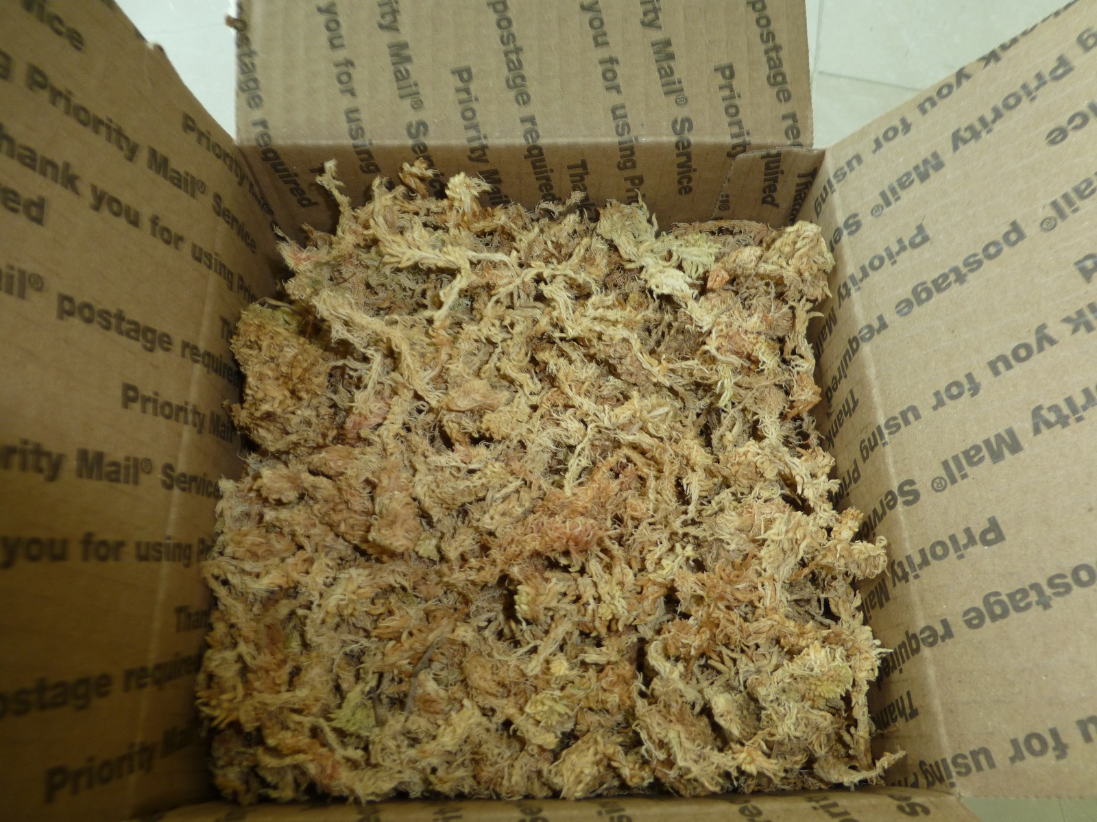 Premium New Zealand Sphagnum Moss AAA Grade for Plants Orchids Reptiles