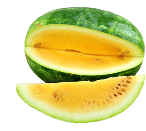 Tendergold Watermelon Seeds – Very Sweet COMB. S/H! SEE MY STORE