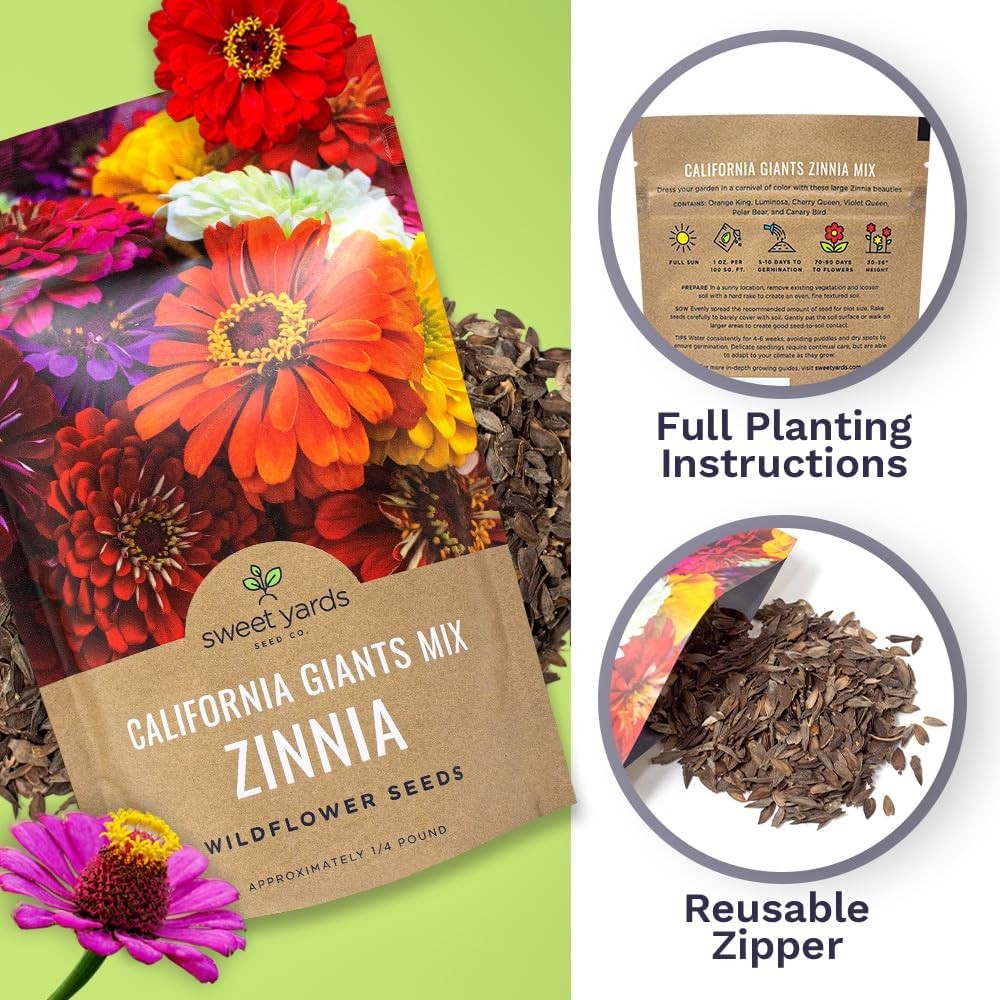 Bulk Zinnia Seeds – California Giants Mix – 1/4 Pound Bag Over 12000 Flower