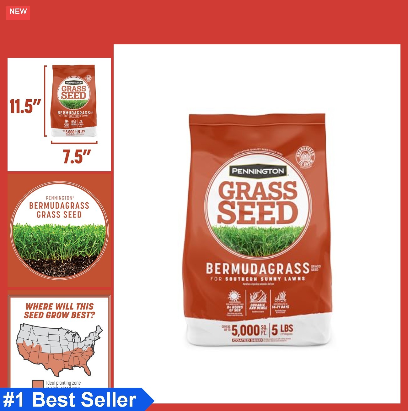 Bermuda Grass Seed 5 lb Warm Season Lawn Full Sun Wear Resistant