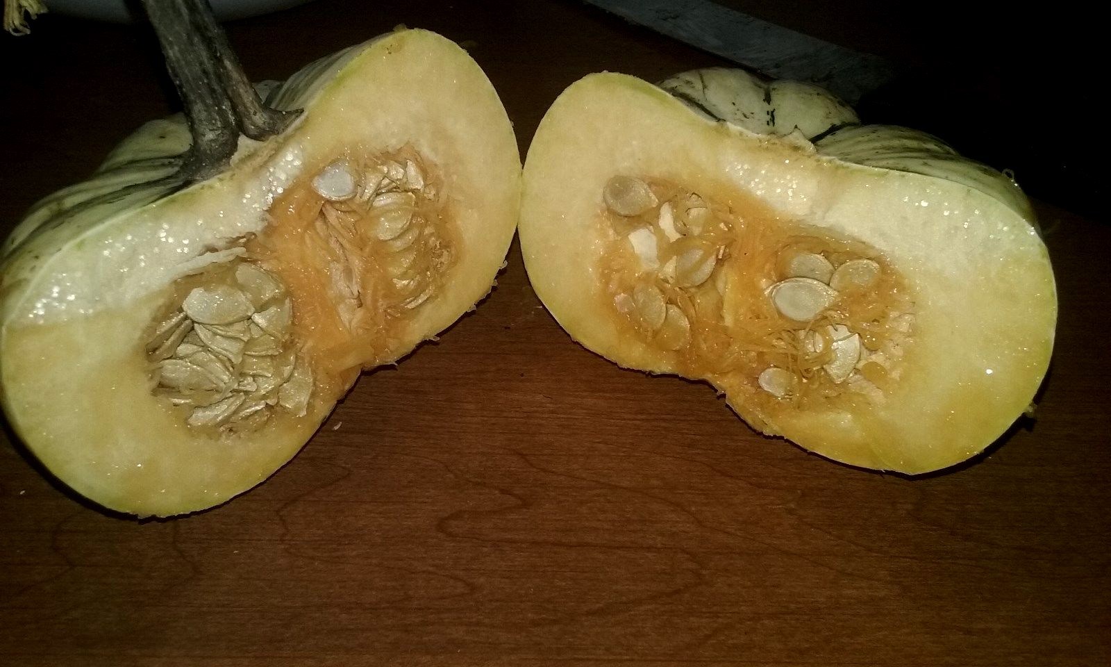 Pump-ke-mons Pumpkin Seeds- COMB. S/H- SEE MY STORE