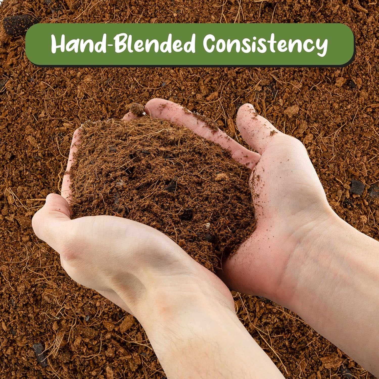 Terrarium Potting Soil Mix (4 Quarts), w/Blended Filtering Charcoal 4 Quarts