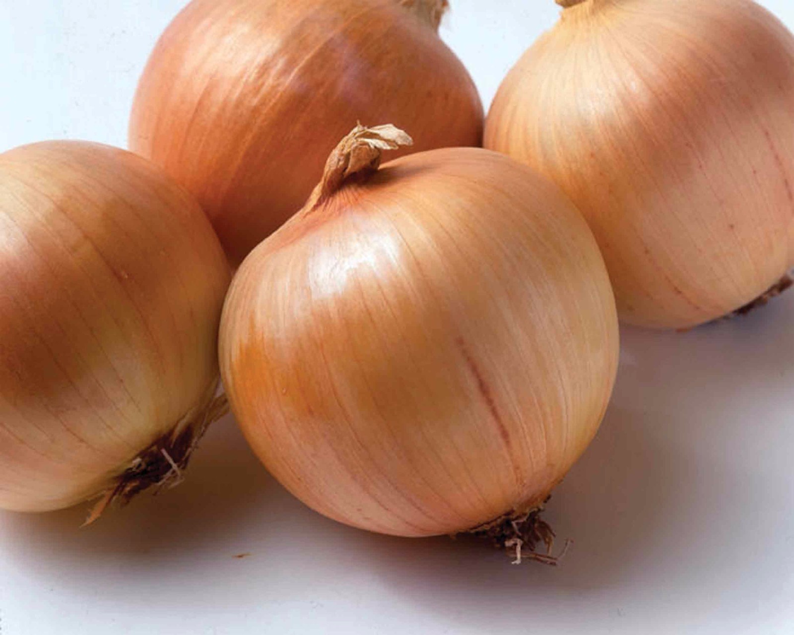 Yellow Sweet Spanish Onion Seeds, NON-GMO, Variety Sizes, FREE SHIPPING