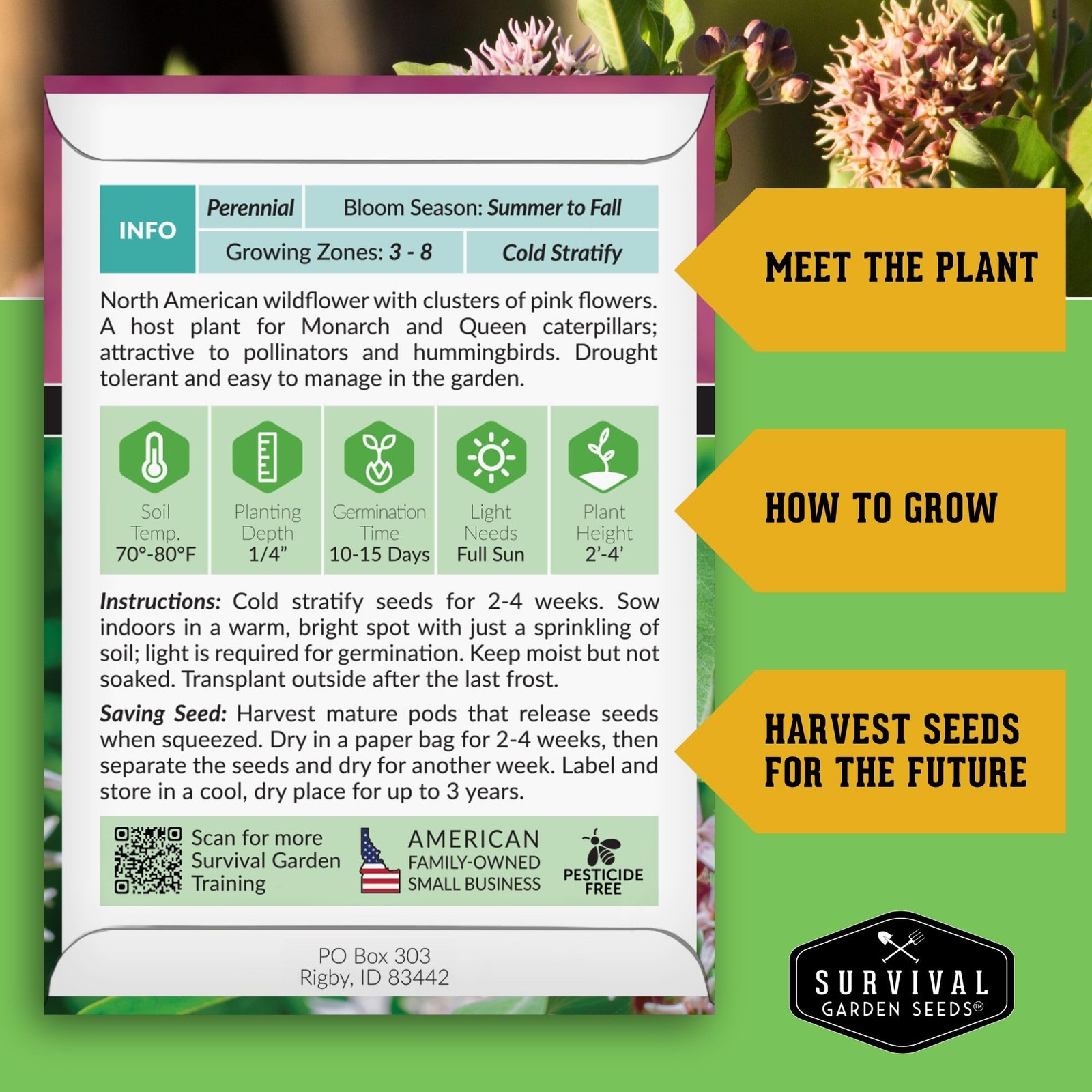Showy Milkweed Seeds for Planting | Asclepias speciosa | Monarch Pink