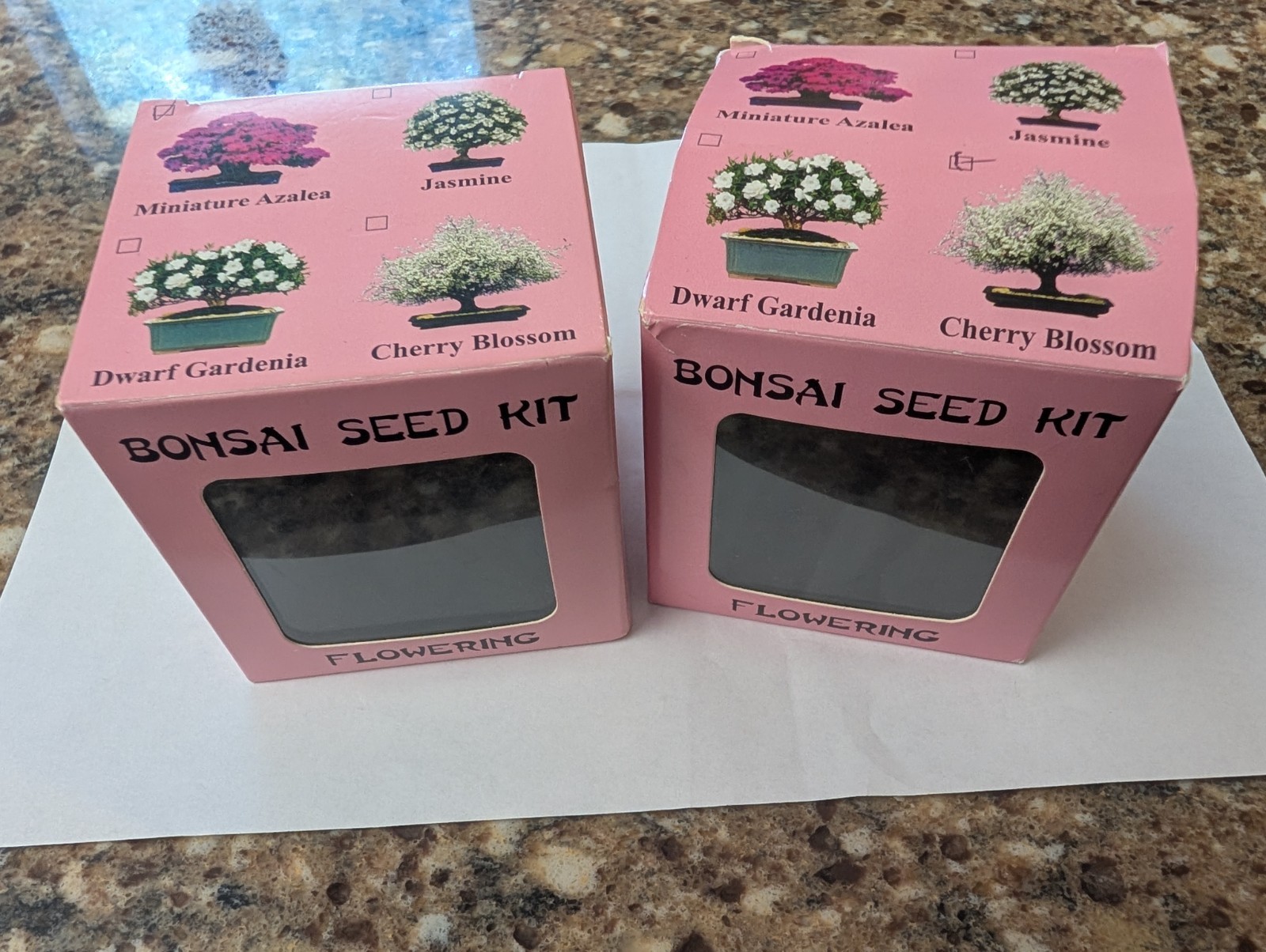 2 New Bonsai Seed Kit Kids Teen Activities Garden Flower