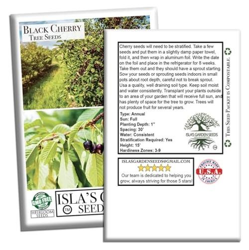 Black Cherry Tree Seeds (Prunus serotina, Wild Black Cherry) – 25+ Non-GMO &