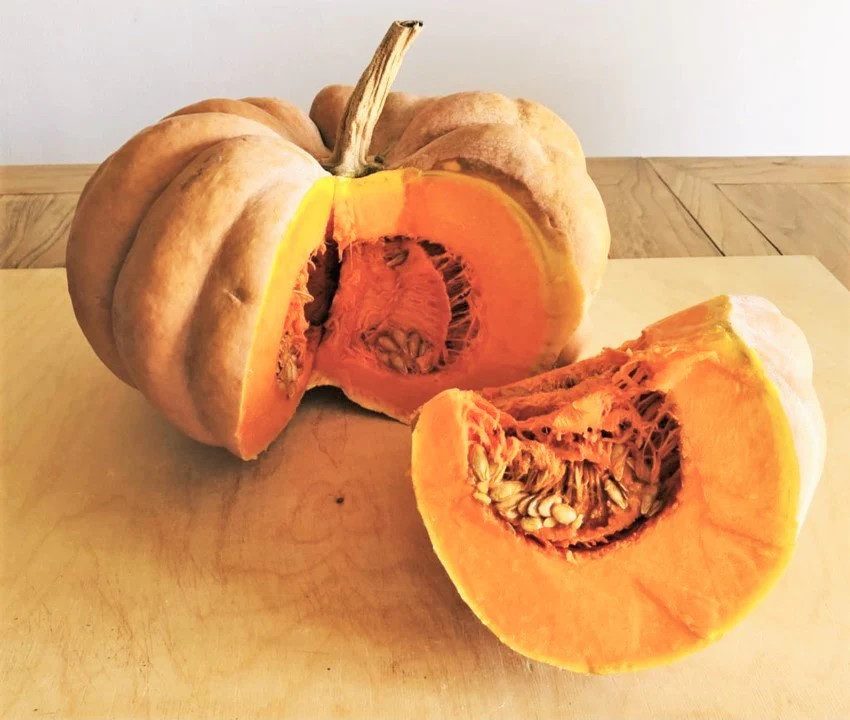Fairytale Pumpkin (Musqee de Provence) Seeds | Cinderella Pumpkins Seed 2024